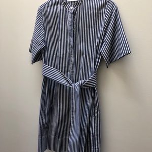 Everlane Striped Dress